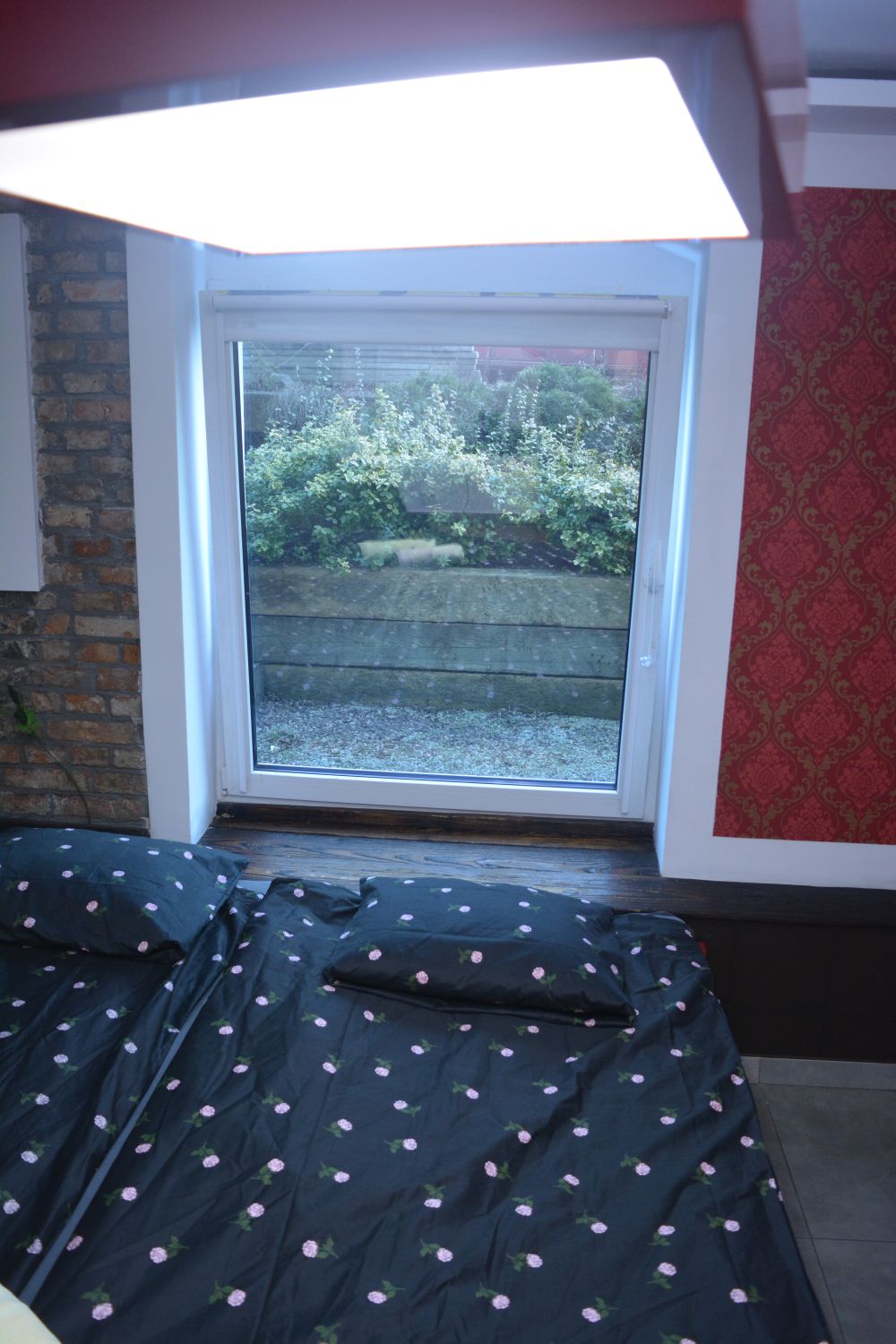 Apartament na doby Poznań - okno z widokiem na zieleń